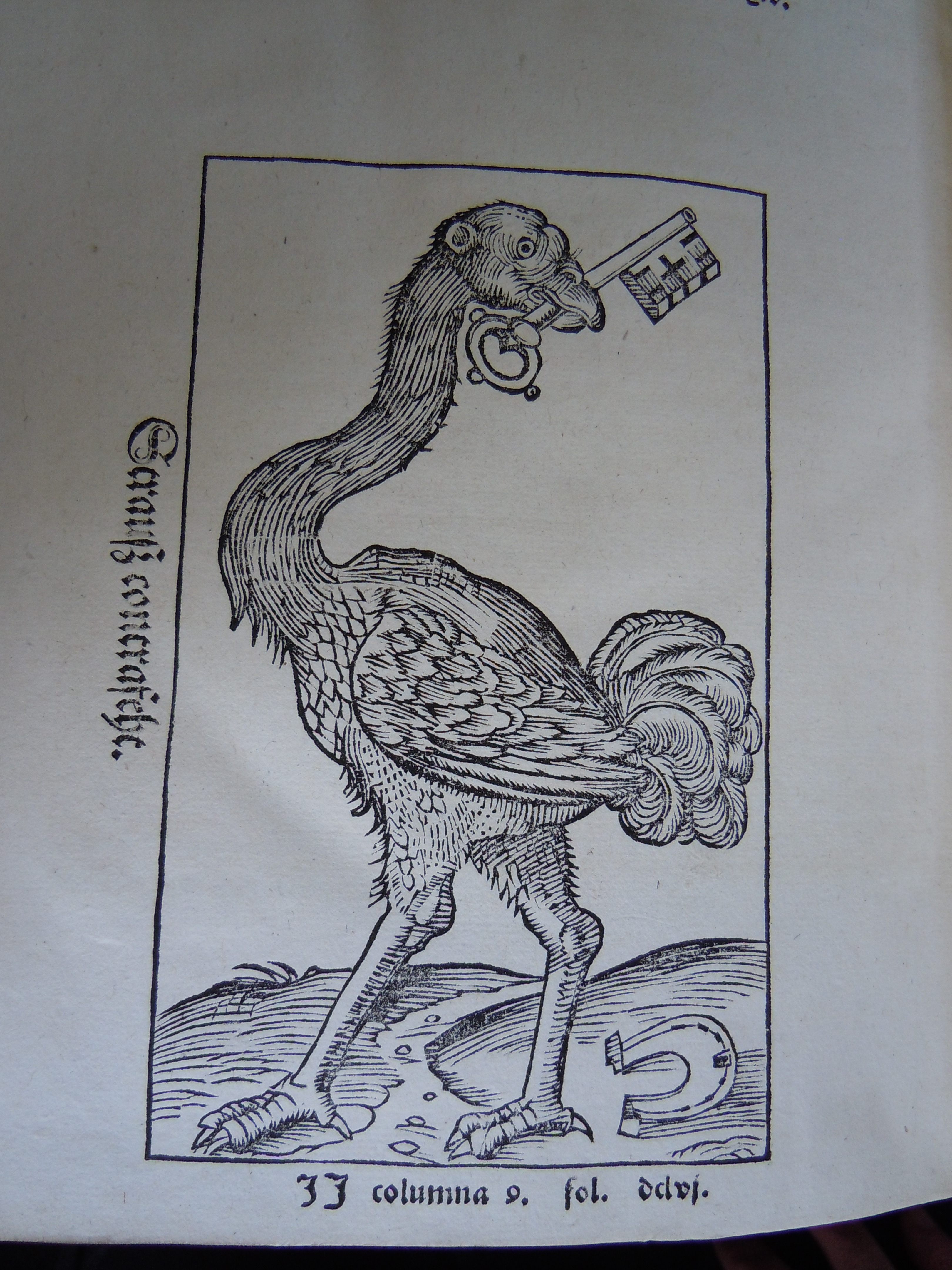 BT3.187.1(2), opp. p. dcxxxi, Sebastian M眉nster鈥檚 Cosmographia (1544)