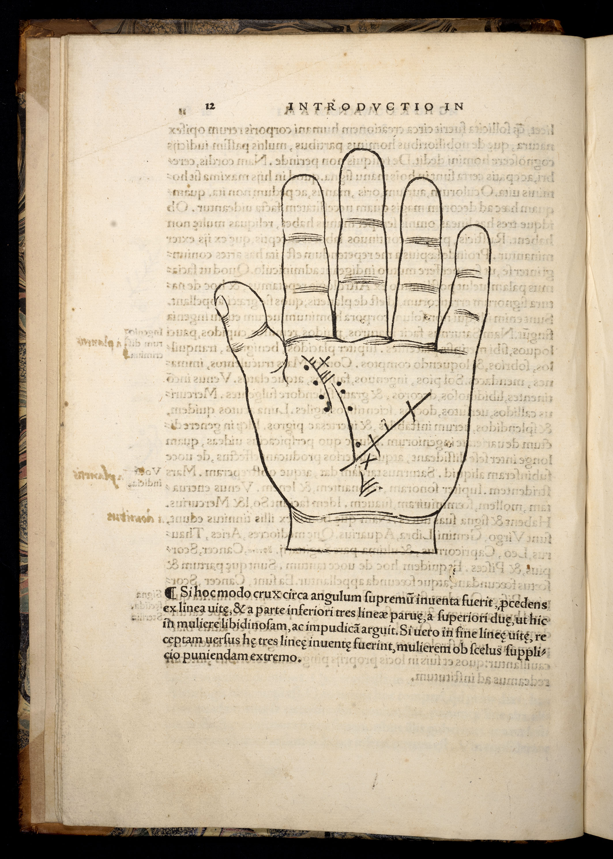 BT3.250.13, p.12, Johannes Indagine鈥檚 Chiromantia (1531)