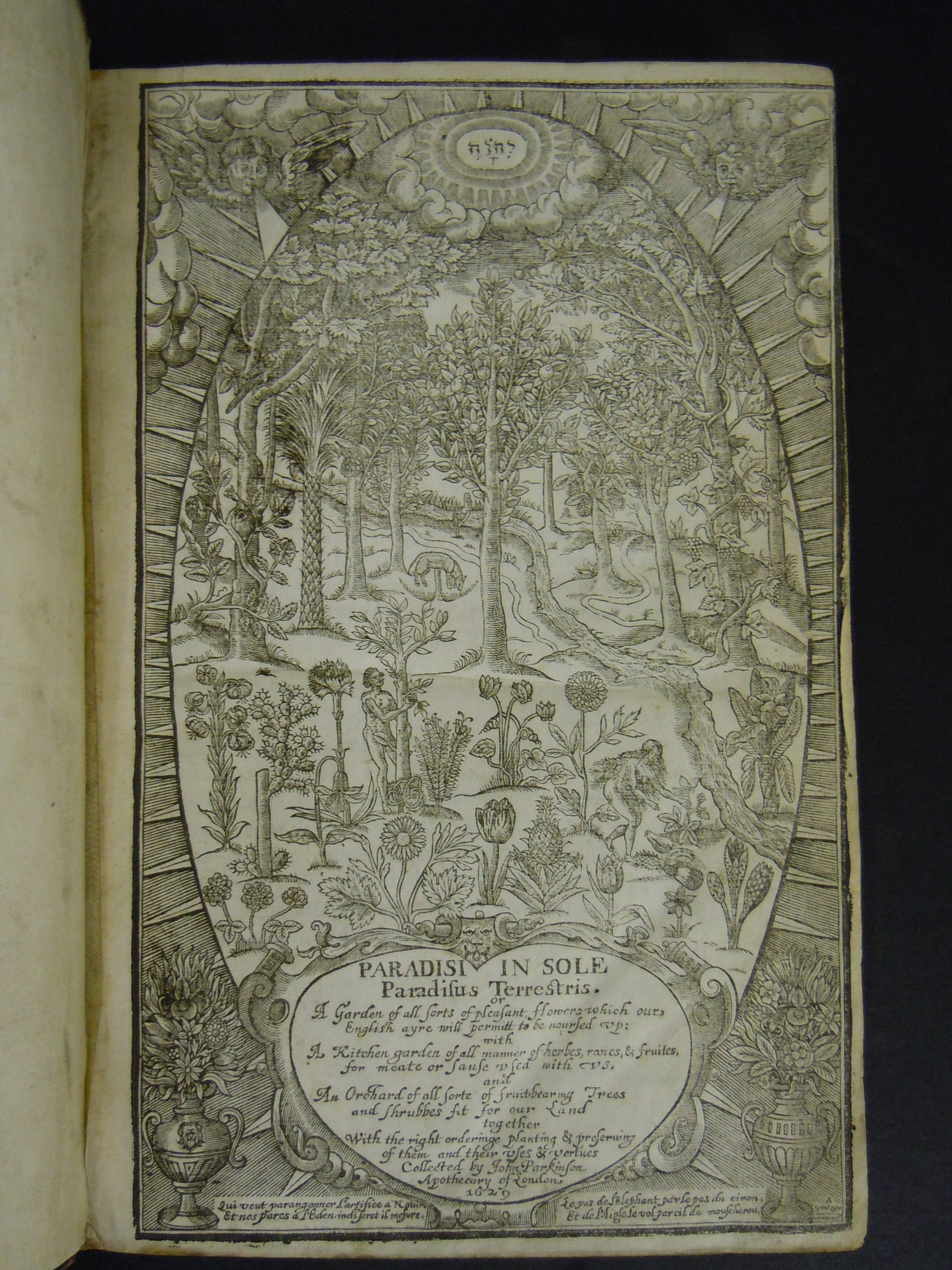 BT1.31.13, title page, John Parkinson鈥檚 Paradisi in sole paradisus terrestris (1629)