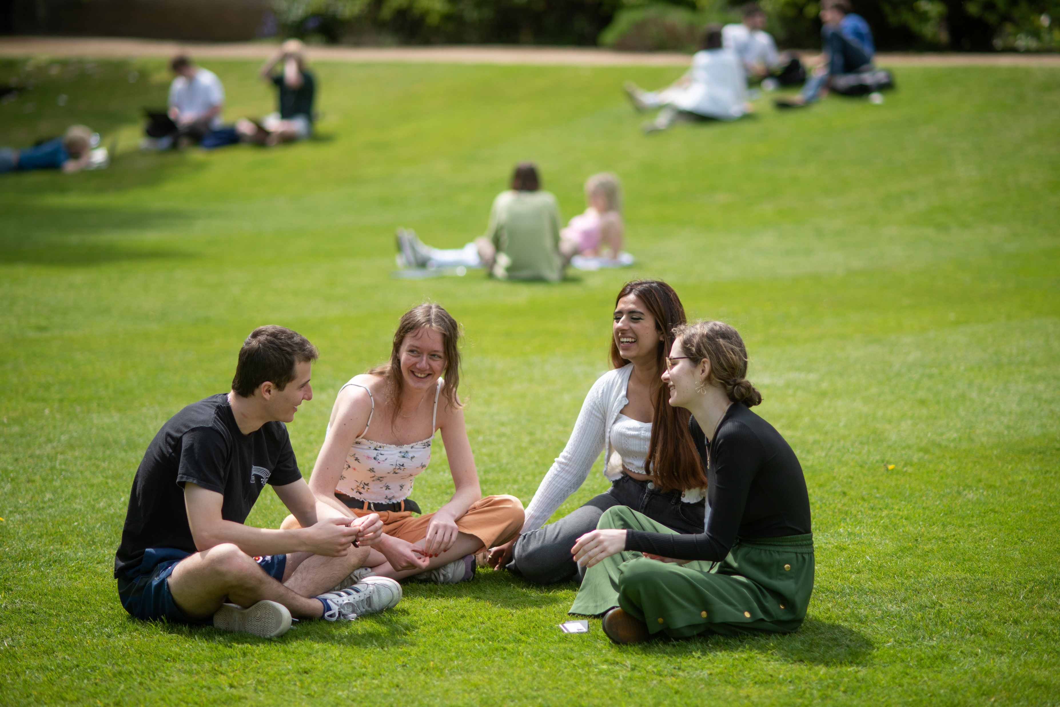 Groups of students sitting on grass